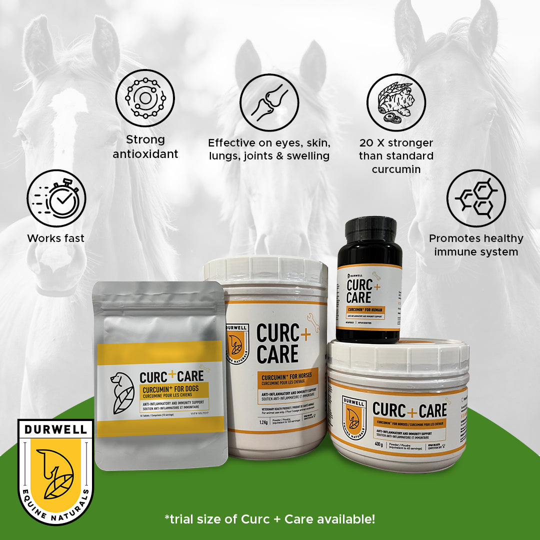 Durwell Curc+Care: Inflammation & Immunity Support