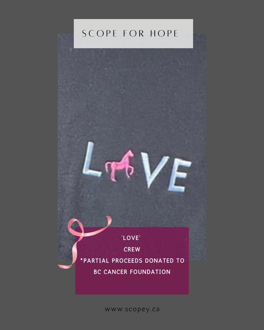 Love crew sweatshirt