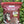 Durwell Nibs Horse Treats: Beet (NO SUGAR ADDED)