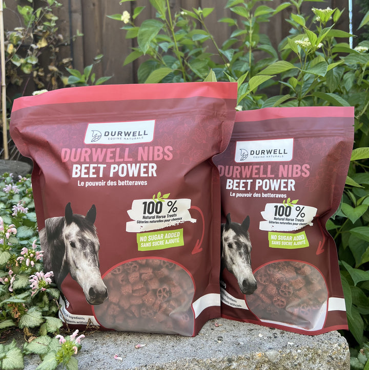 Durwell Nibs Horse Treats: Beet (NO SUGAR ADDED)