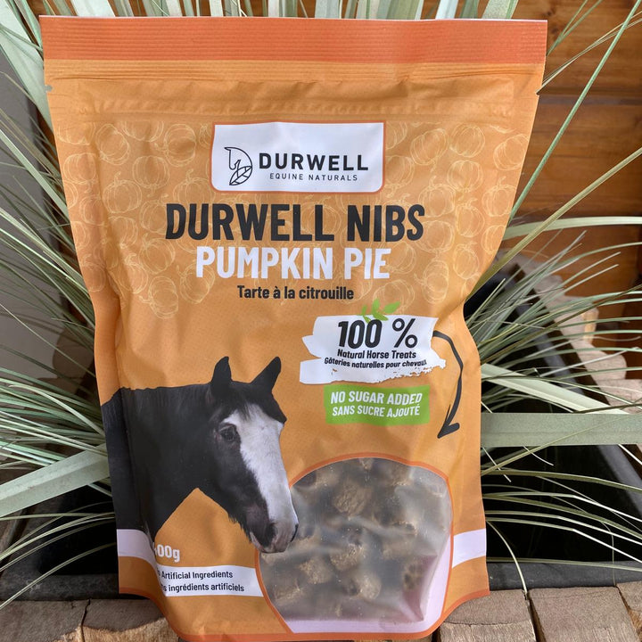 Durwell Nibs Horse Treats: Pumpkin Pie (NO SUGAR)