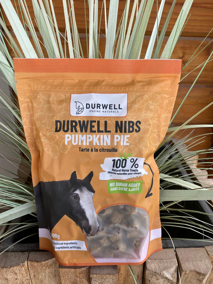 Durwell Nibs Horse Treats: Pumpkin Pie (NO SUGAR)