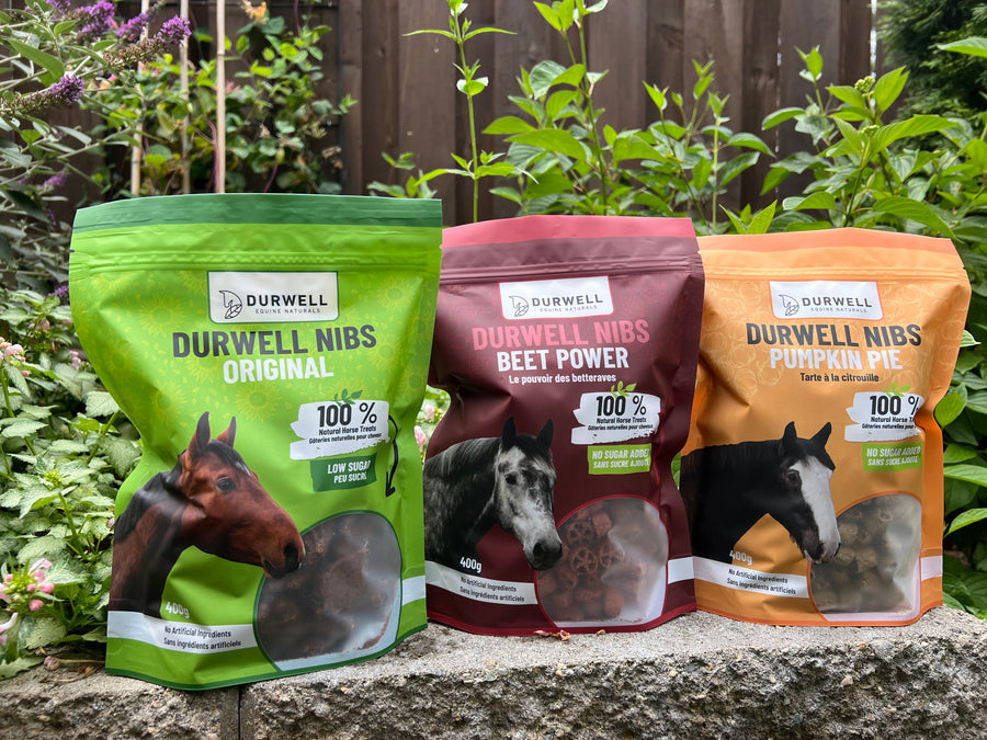 Durwell Nibs Horse Treats: Original (low sugar)