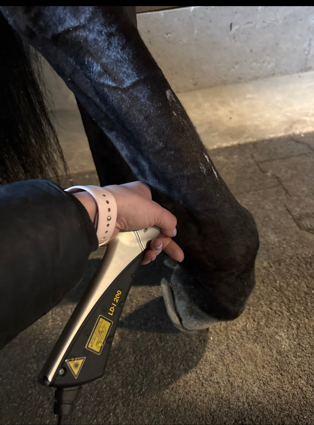 BioFlex Laser Therapy Sessions