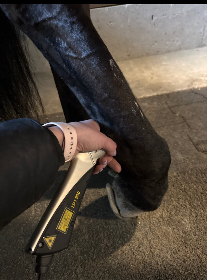 BioFlex Laser Therapy Sessions
