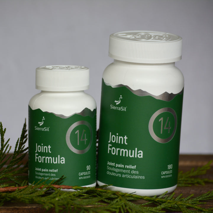 SierraSil Joint Formula 14™ for humans