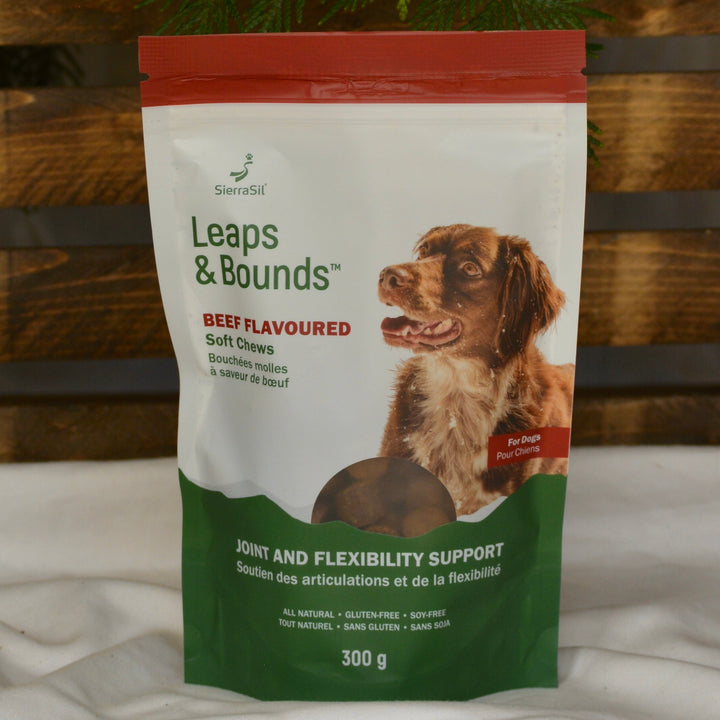SierraSil Leaps and Bounds for dogs