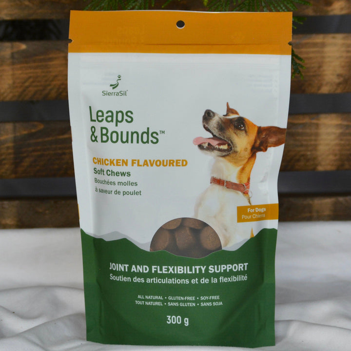 SierraSil Leaps and Bounds for dogs