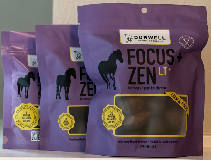 FOCUS Calming Chews for Horses