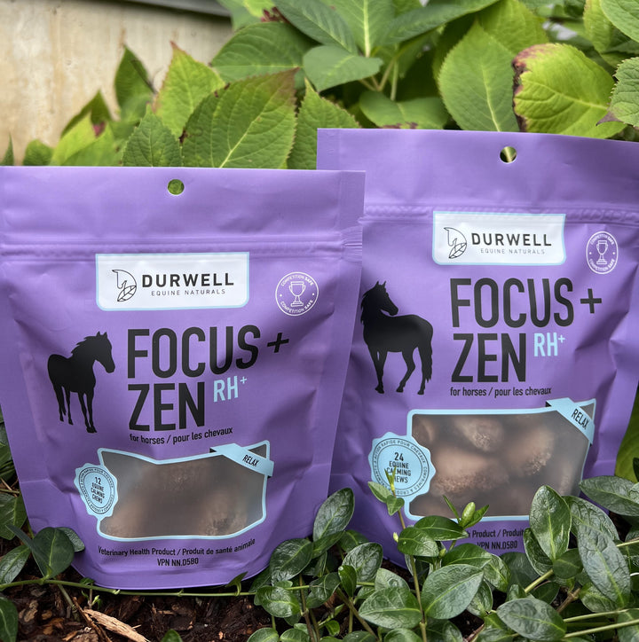 RELAX Calming Chews for Horses