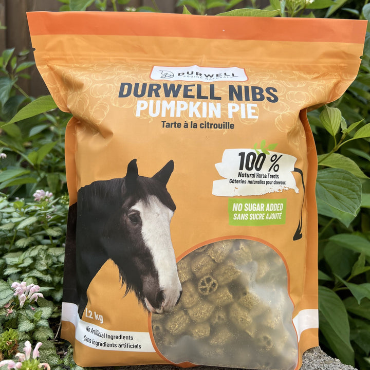 Durwell Nibs Horse Treats: Pumpkin Pie (NO SUGAR)