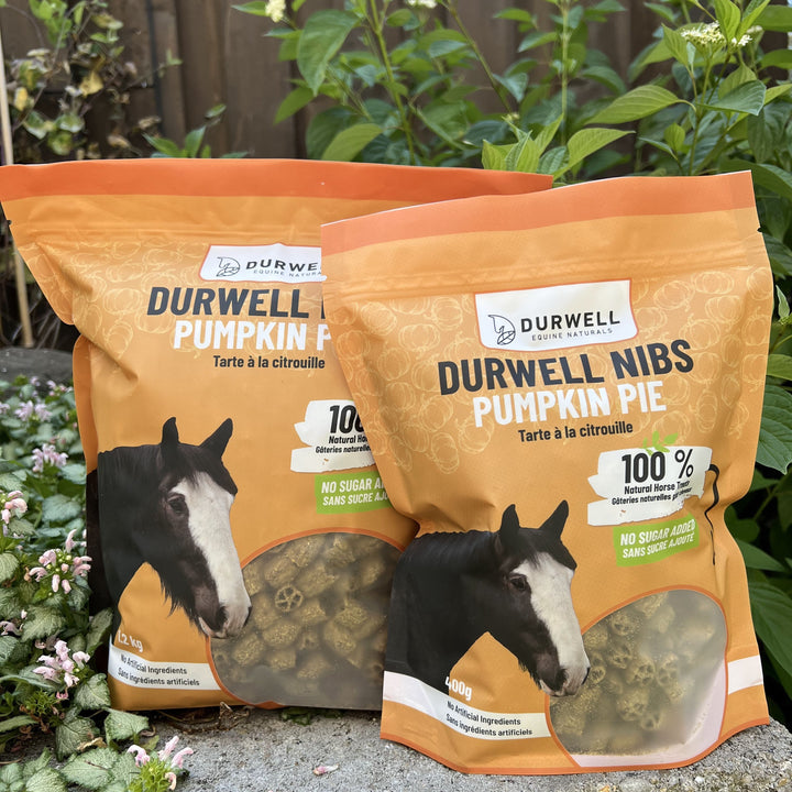 Durwell Nibs Horse Treats: Pumpkin Pie (NO SUGAR)
