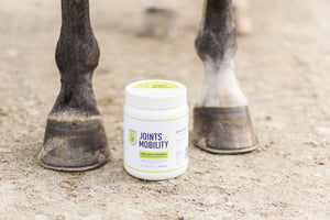 Durwell Joints + Mobility: Mineral Blend for Joint Health
