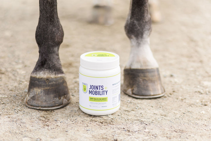 Durwell Joints + Mobility: Mineral Blend for Joint Health