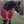 Go Higher Show Sheet - Scope Equestrian Lifestyle
