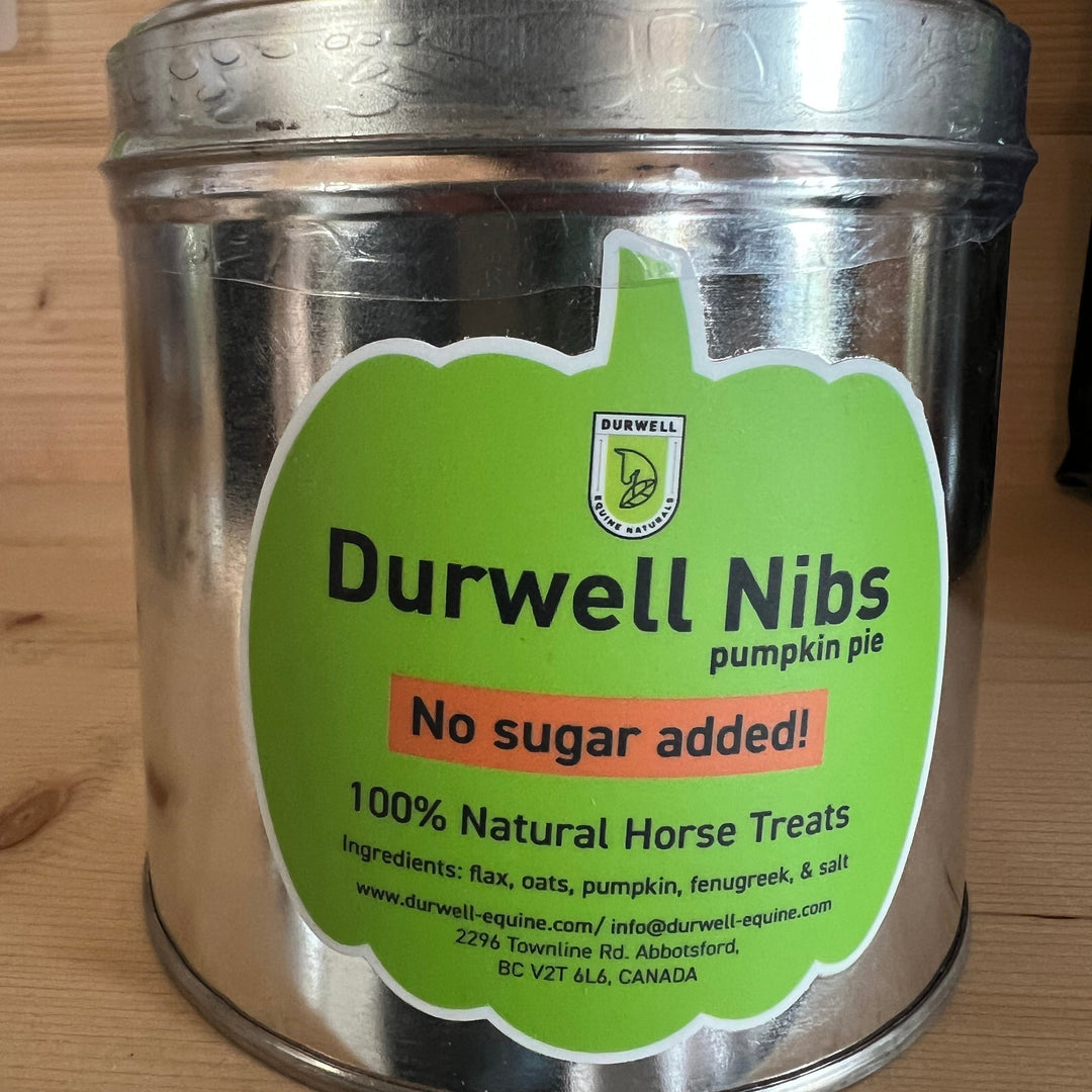Durwell Nibs Horse Treats: Pumpkin Pie (NO SUGAR)